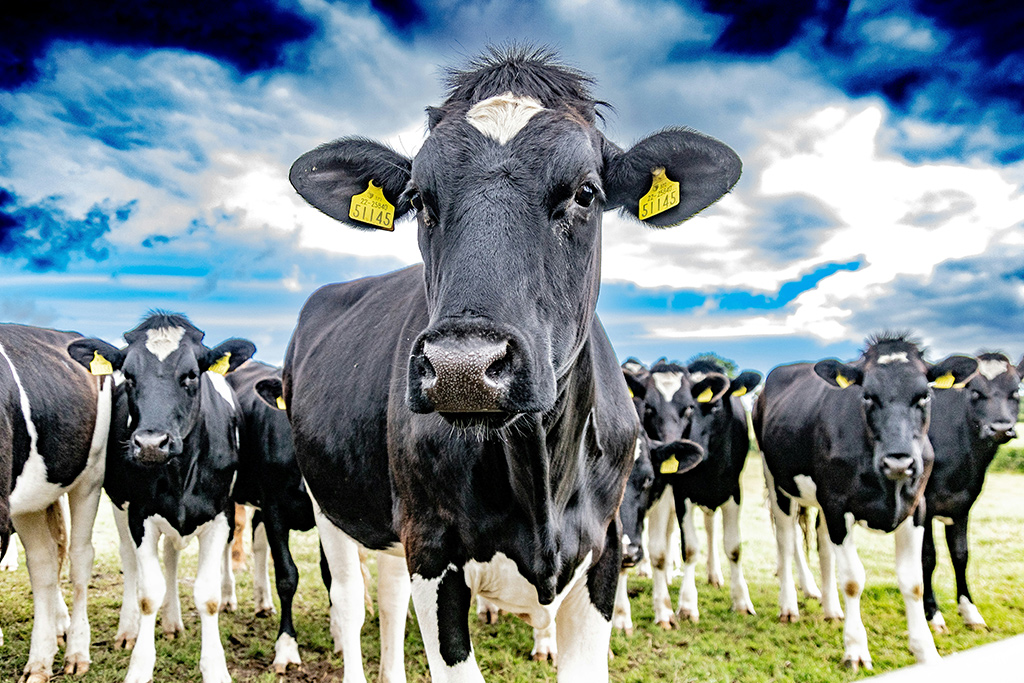 Fenix Water Solutions