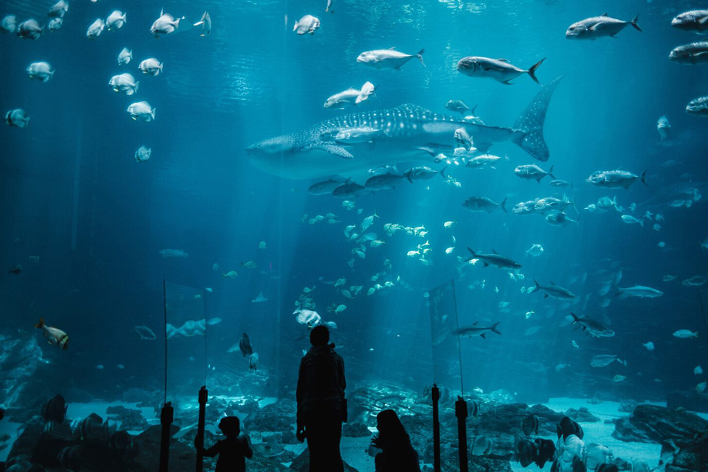 Fenix Water Solutions